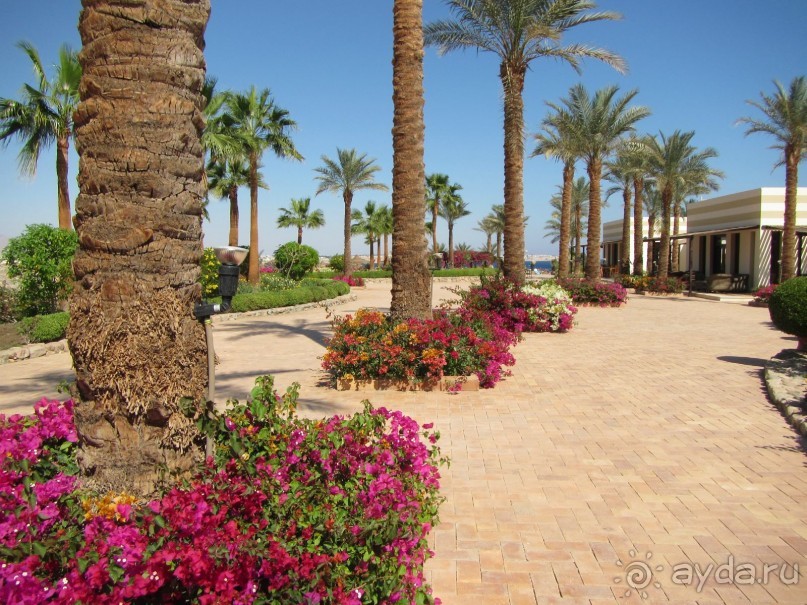 Спокойный релакс