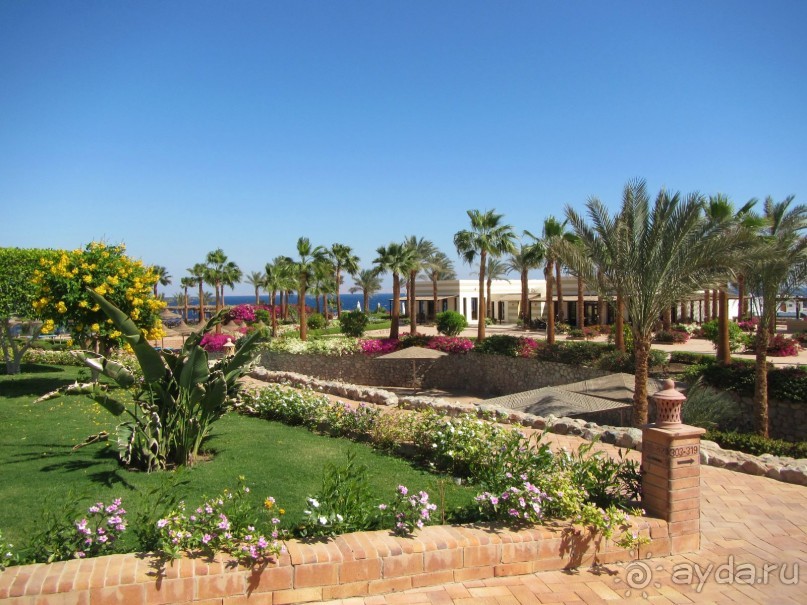 Спокойный релакс