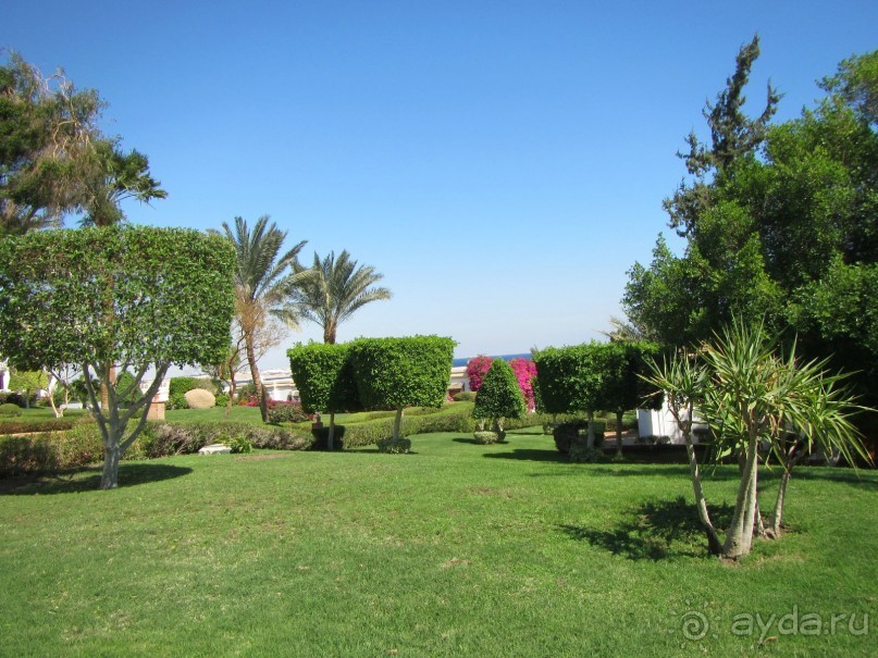 Спокойный релакс