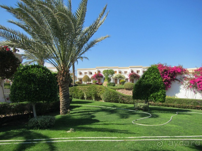 Спокойный релакс