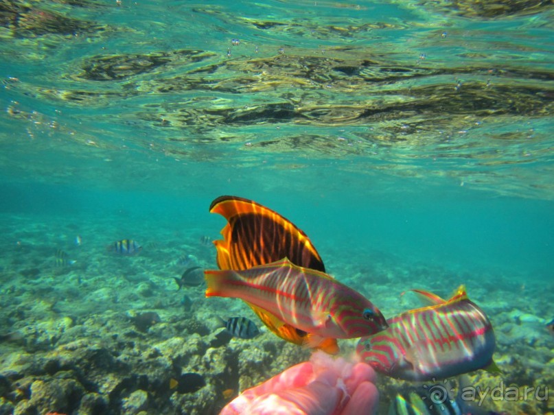 Спокойный релакс