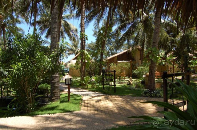 фото Bamboo Village Resort & Spa