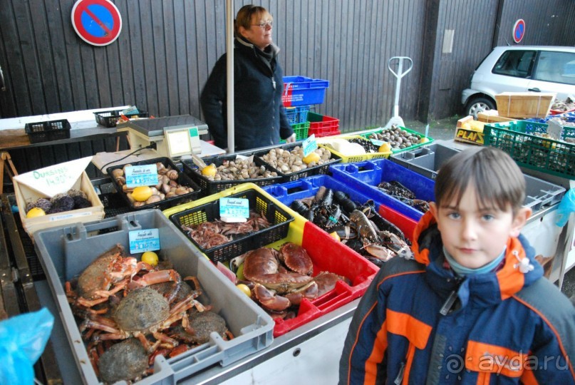 Бретань-Нормандия. Франция