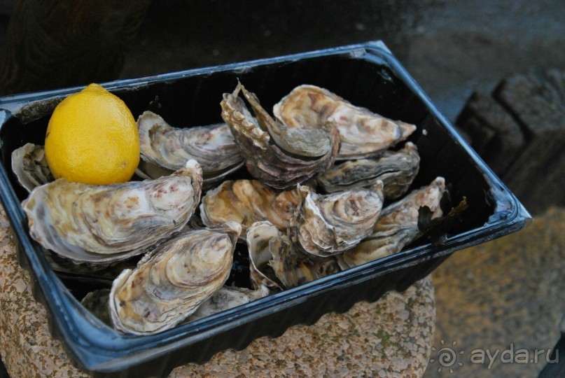 Бретань-Нормандия. Франция