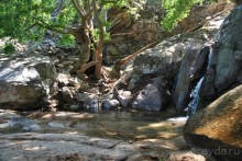 Икария. Греция.