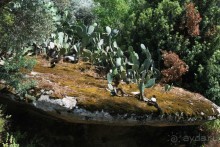 Икария. Греция.