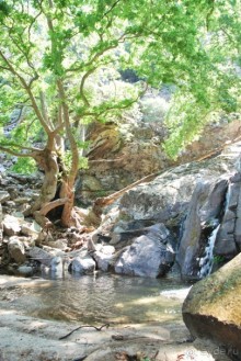 Икария. Греция.