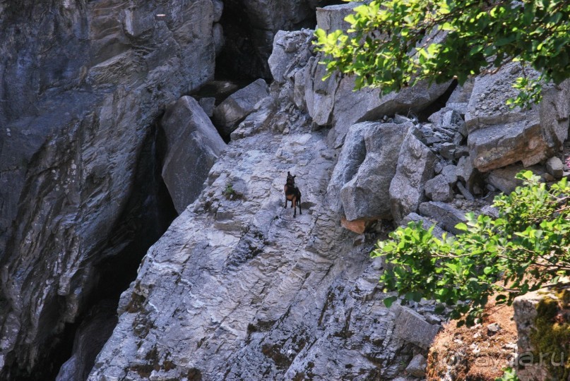 Икария. Греция.