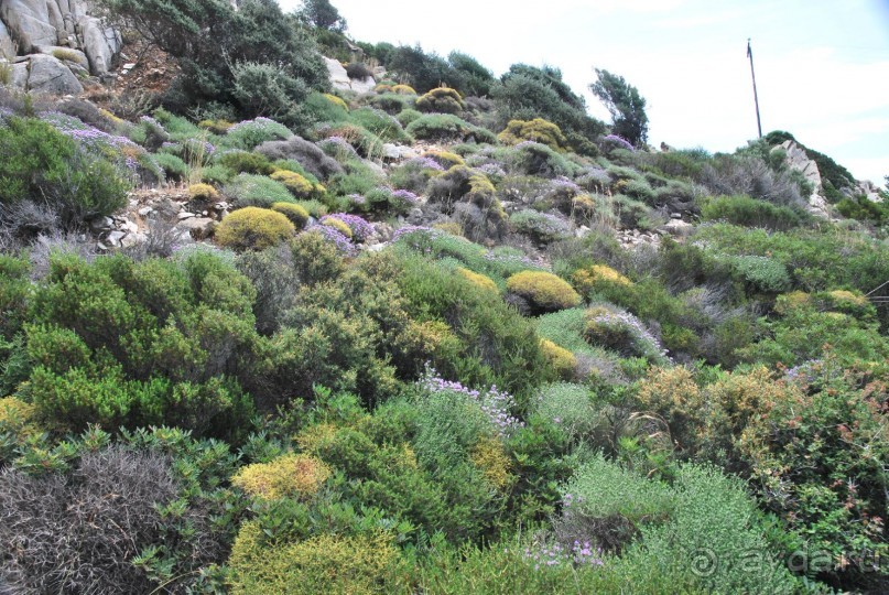 Икария. Греция.