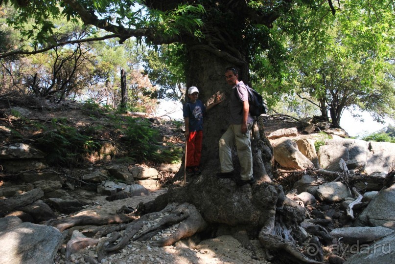 Икария. Греция.