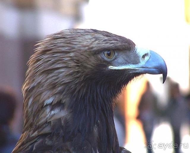 Санкт-Петербург