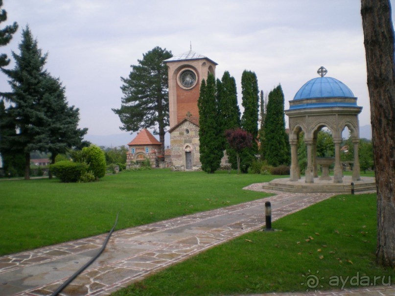 8 дней в Сербии