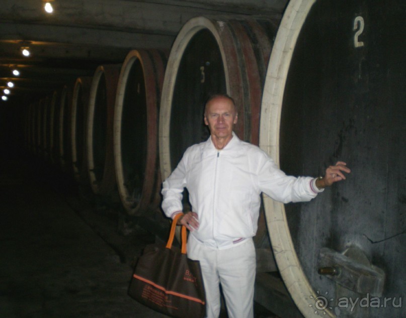 пос. Топола. В королевском винном погребе