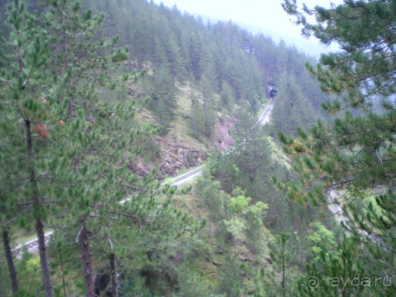 8 дней в Сербии