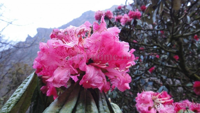 Намче Базар. Национальный парк Сагарматха в Непале.