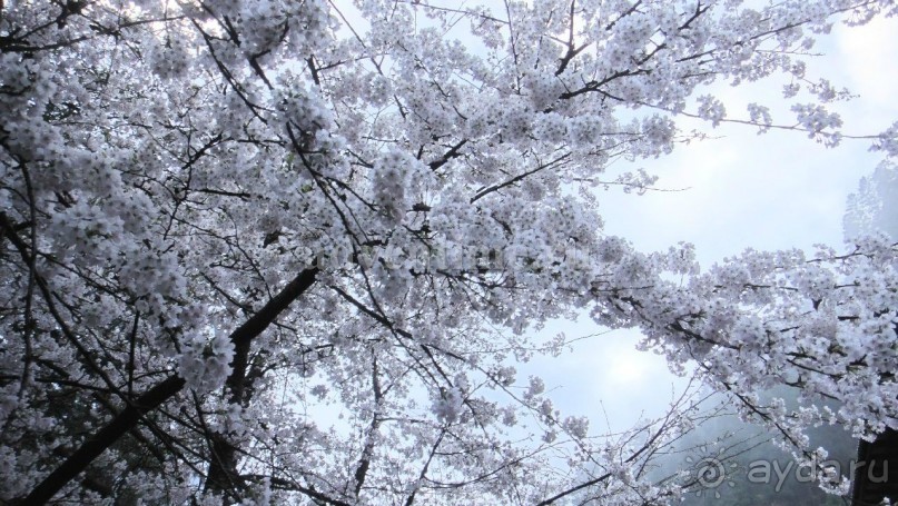 Намче Базар. Национальный парк Сагарматха в Непале.