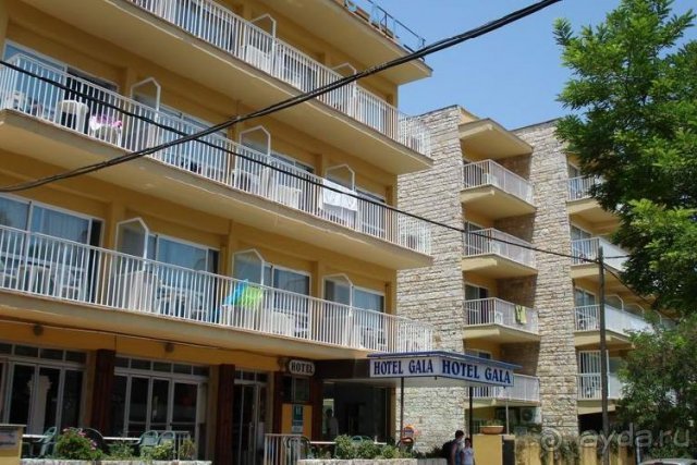 Вид отеля Гала 3*