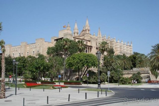 Кафедральный собор