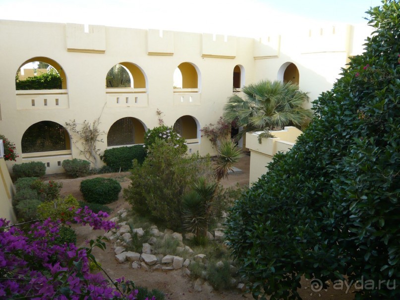 Отзыв об отеле Sun Palm 4* в Тунисе, Дуз