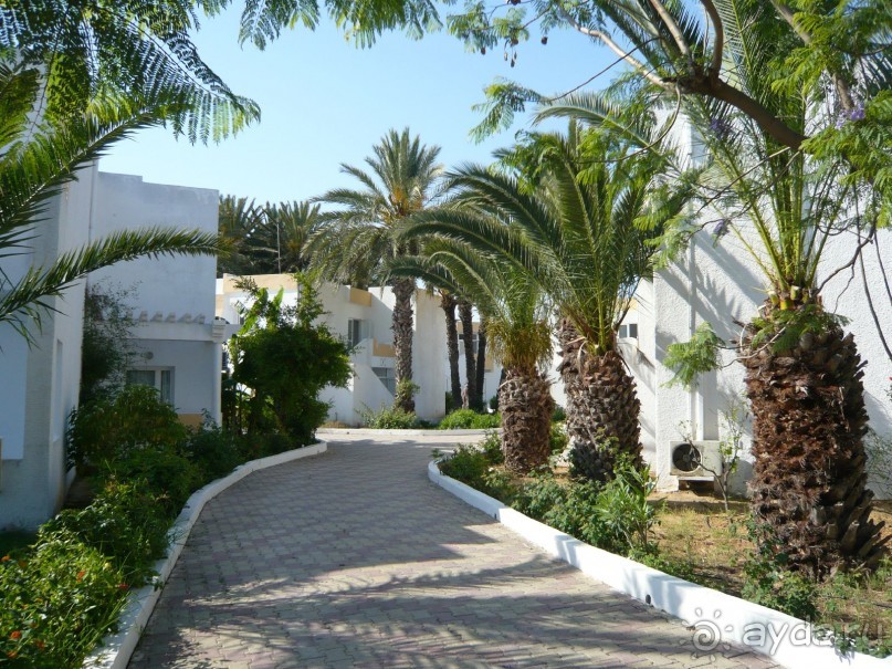 Отзыв об отеле El Mouradi Club Selima 3* в Тунисе, Порт Эль Кантауи