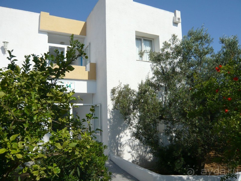 Отзыв об отеле El Mouradi Club Selima 3* в Тунисе, Порт Эль Кантауи