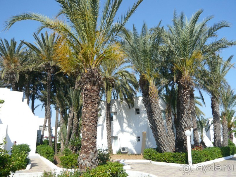 фото El Mouradi Club Selima Hotel