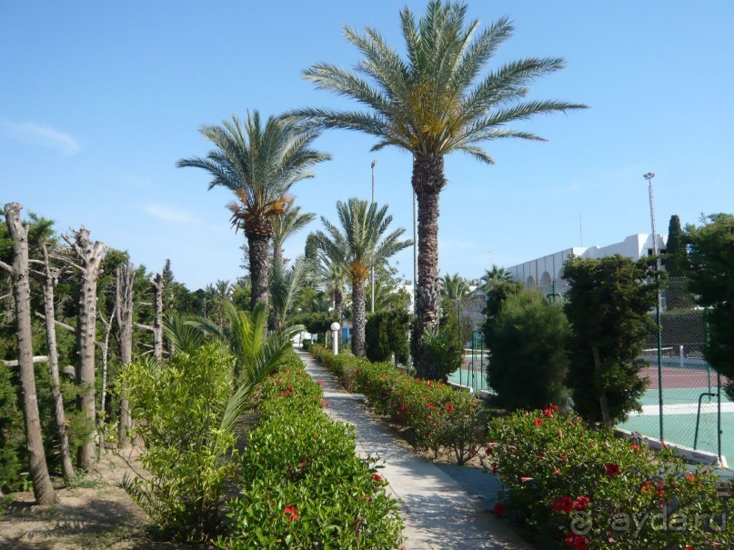 фото El Mouradi Club Selima Hotel