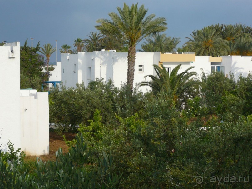 Отзыв об отеле El Mouradi Club Selima 3* в Тунисе, Порт Эль Кантауи