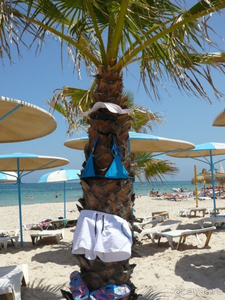 Отзыв об отеле El Mouradi Club Selima 3* в Тунисе, Порт Эль Кантауи