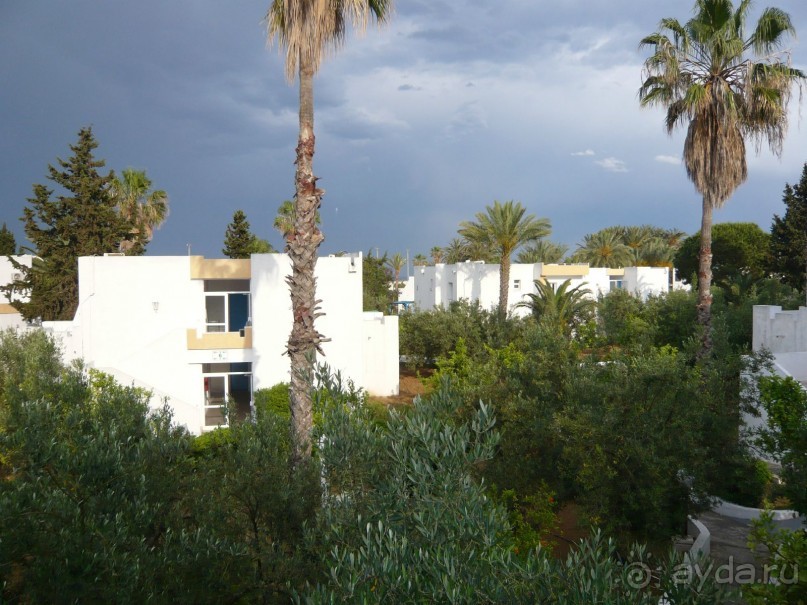 Отзыв об отеле El Mouradi Club Selima 3* в Тунисе, Порт Эль Кантауи