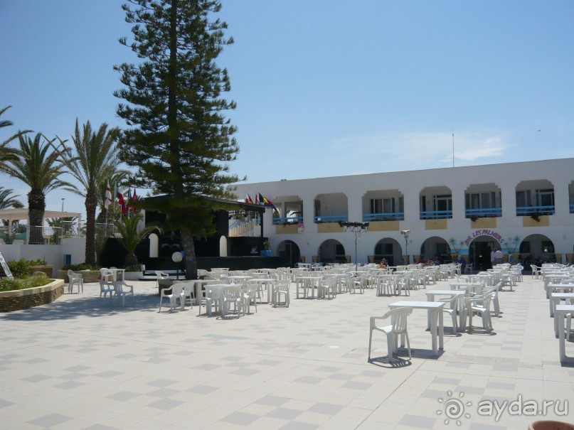Отзыв об отеле El Mouradi Club Selima 3* в Тунисе, Порт Эль Кантауи