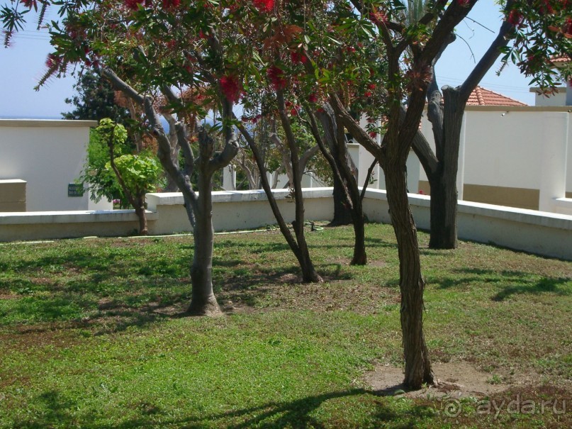 фото Mitsis Rodos Maris Beach Resort & Spa