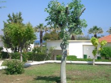 фото Mitsis Rodos Maris Beach Resort & Spa