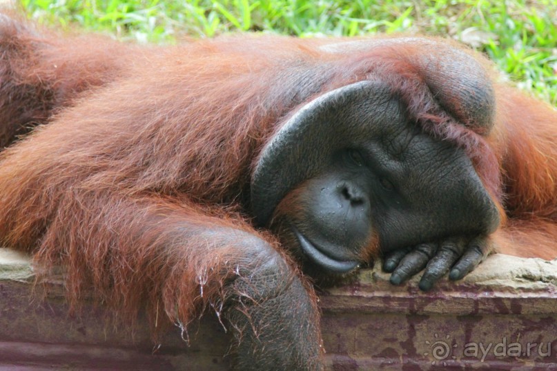 Вокруг Бали за 11 дней!