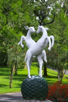 Вокруг Бали за 11 дней!