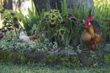 Вокруг Бали за 11 дней!