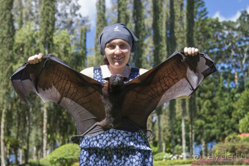 Вокруг Бали за 11 дней!