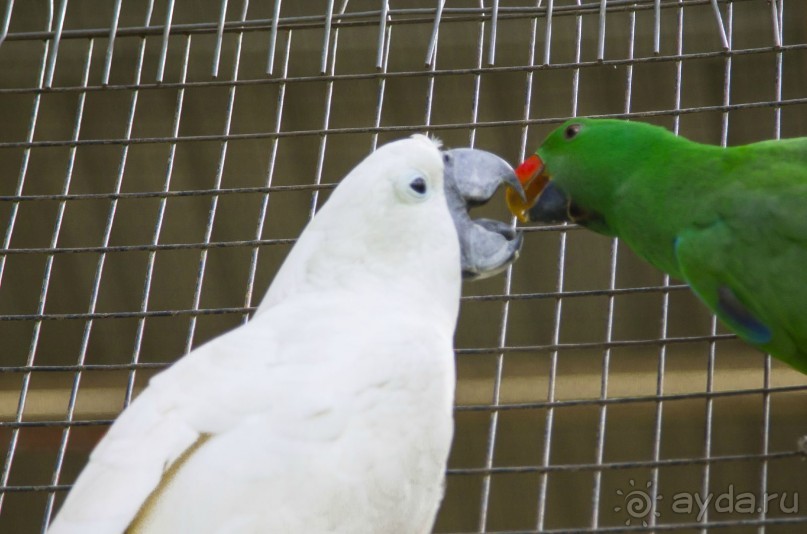 Вокруг Бали за 11 дней!