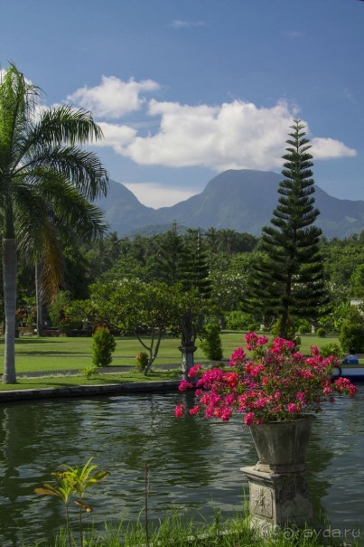 Вокруг Бали за 11 дней!