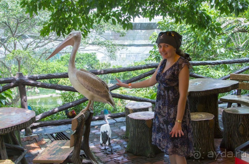 Вокруг Бали за 11 дней!