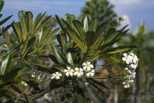 Вокруг Бали за 11 дней!