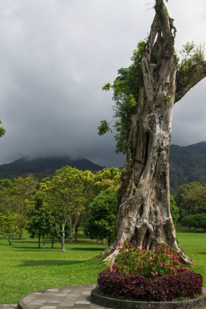 Вокруг Бали за 11 дней! Вокруг Бали за 11 дней!