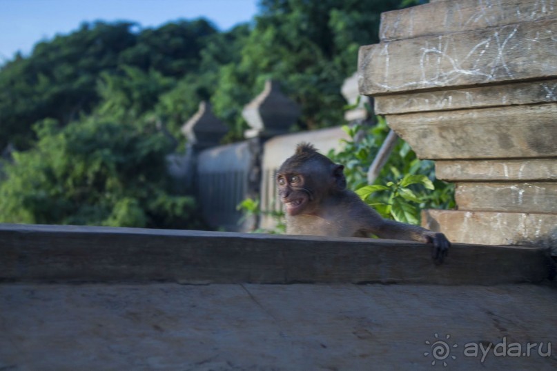 Вокруг Бали за 11 дней! Вокруг Бали за 11 дней!