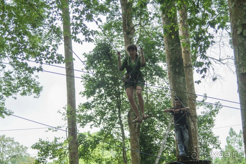 Вокруг Бали за 11 дней! Вокруг Бали за 11 дней!