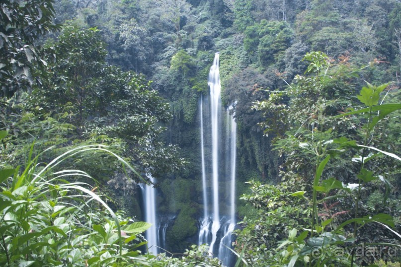 Вокруг Бали за 11 дней! Вокруг Бали за 11 дней!