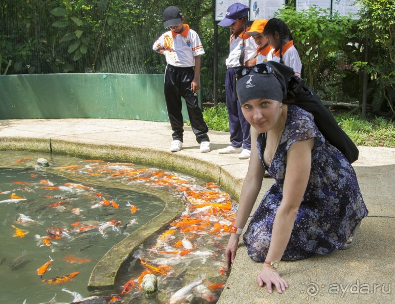 Вокруг Бали за 11 дней! Вокруг Бали за 11 дней!