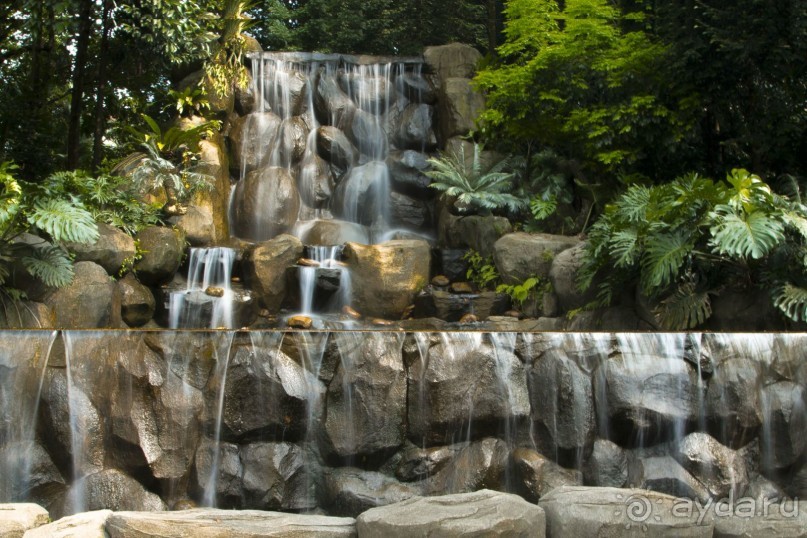 Вокруг Бали за 11 дней! Вокруг Бали за 11 дней!