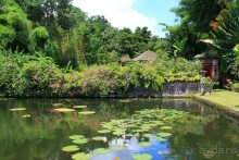 Тирта Гангга - удивительный дворец на воде!