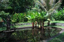 Тирта Гангга - удивительный дворец на воде!