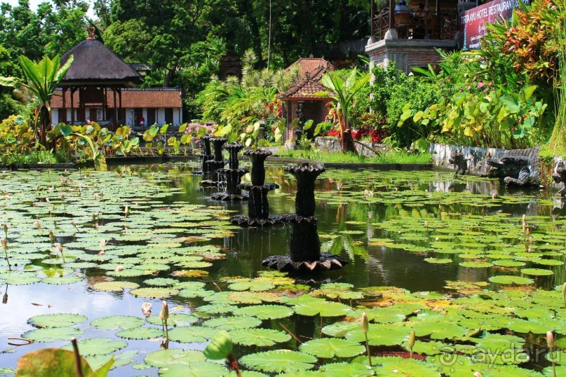 Тирта Гангга - удивительный дворец на воде!